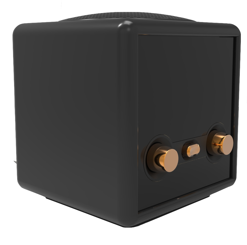 Radio DAB-radio FM-mini radio DAB avec licence AAC